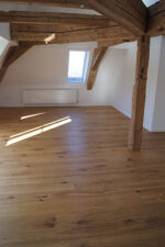 Renovierte Wohneinheit mit alten Elementen